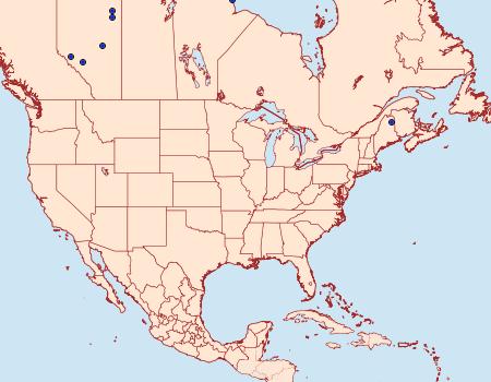 Distribution Data for Phiaris schulziana