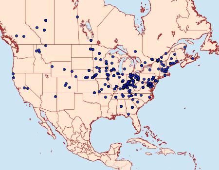 Distribution Data for Celypha cespitana