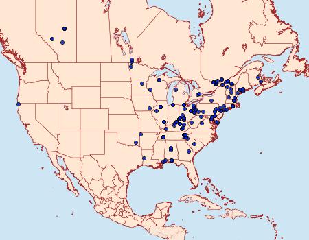 Distribution Data for Hedya separatana