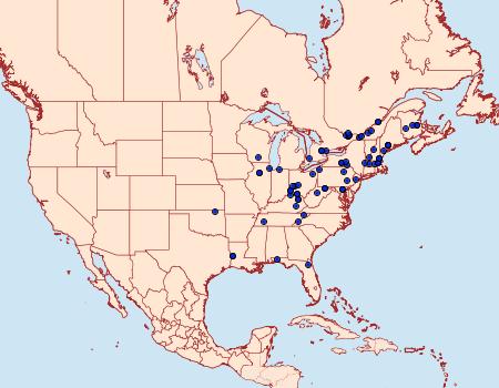 Distribution Data for Hedya chionosema