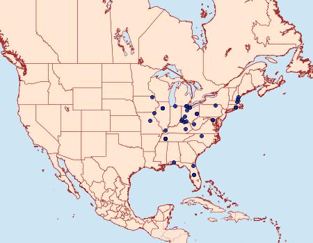 Distribution Data for Hedya cyanana