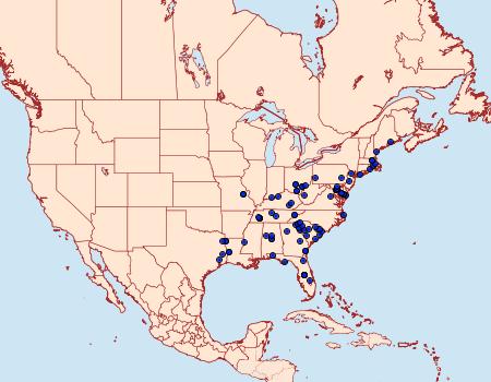 Distribution Data for Rhyacionia rigidana