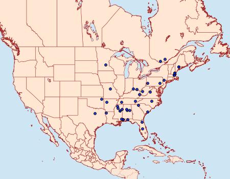 Distribution Data for Homosetia bifasciella