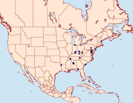 Distribution Data for Rhyacionia busckana