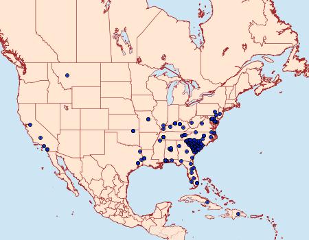 Distribution Data for Rhyacionia frustrana