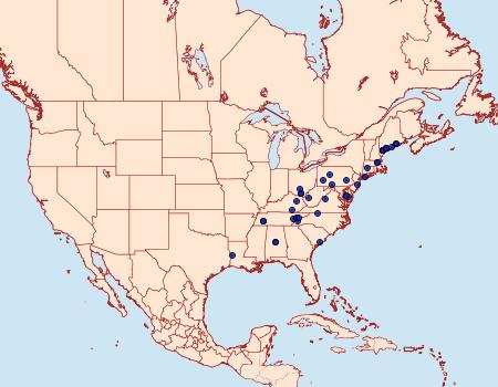 Distribution Data for Retinia comstockiana