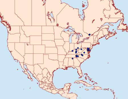 Distribution Data for Retinia virginiana