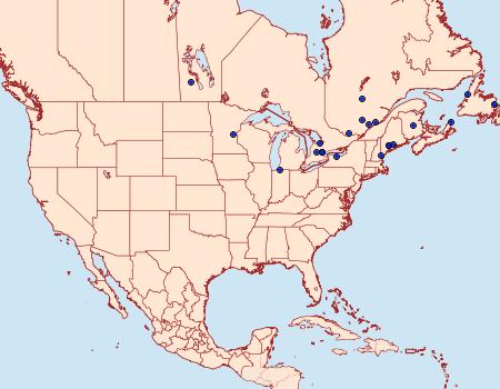 Distribution Data for Retinia albicapitana