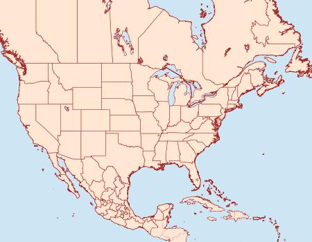 Distribution Data for Retinia nr. metallica