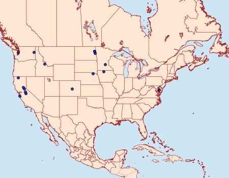 Distribution Data for Retinia metallica