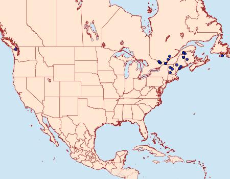 Distribution Data for Barbara mappana