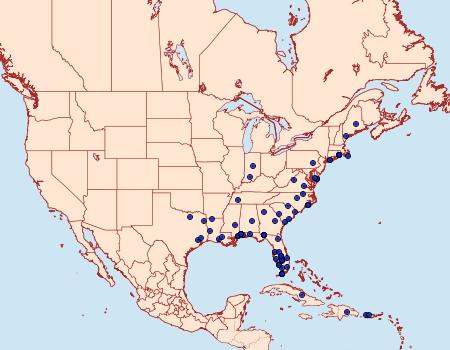 Distribution Data for Strepsicrates smithiana