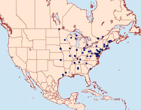 Distribution Data for Eucosma radiatana