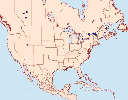 Distribution Data for Eucosma indeterminana