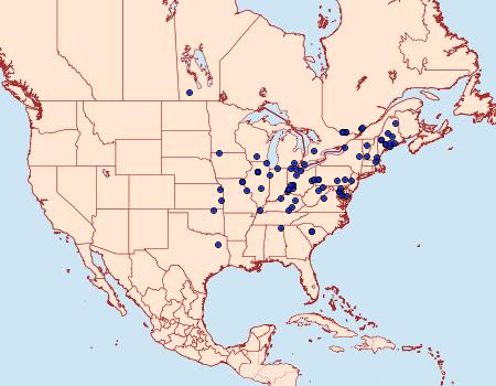 Distribution Data for Eucosma umbrastriana