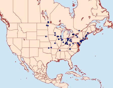 Distribution Data for Eucosma ochrocephala