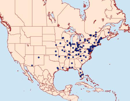 Distribution Data for Eucosma raracana