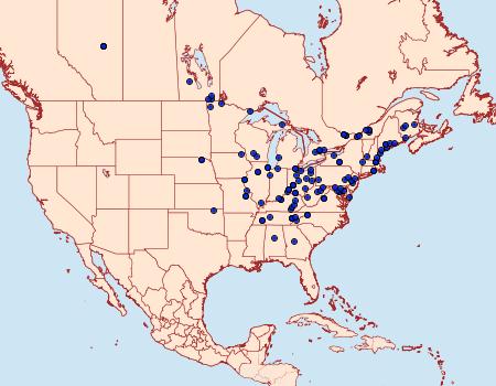 Distribution Data for Eucosma ochroterminana