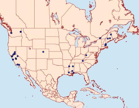 Distribution Data for Homosetia marginimaculella