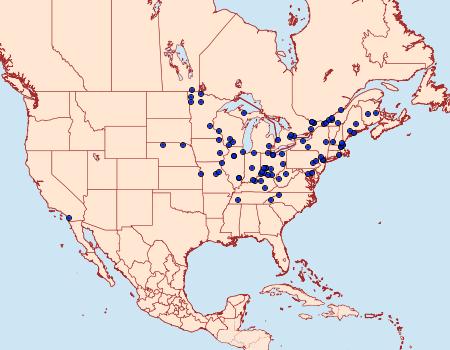 Distribution Data for Eucosma tomonana