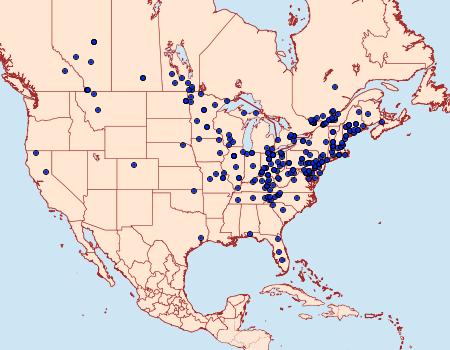 Distribution Data for Eucosma parmatana