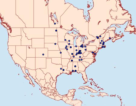 Distribution Data for Eucosma ornatula