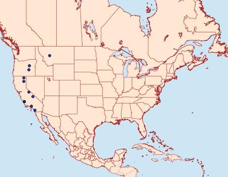 Distribution Data for Eucosma parvana