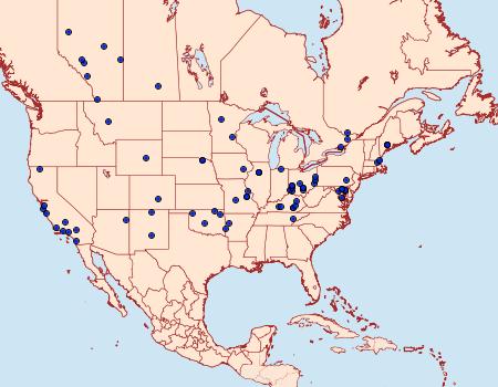 Distribution Data for Eucosma striatana