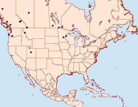 Distribution Data for Eucosma infimbriana