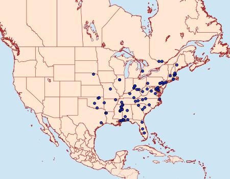 Distribution Data for Isocorypha mediostriatella