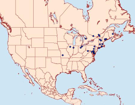 Distribution Data for Eucosma olivaceana