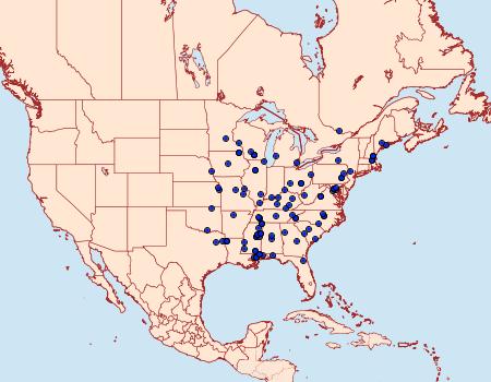 Distribution Data for Dyseriocrania griseocapitella