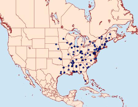 Distribution Data for Hybroma servulella