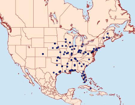 Distribution Data for Homostinea curviliniella