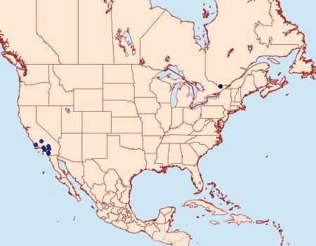 Distribution Data for Pelochrista sandiego