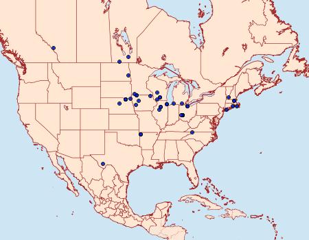 Distribution Data for Pelochrista heathiana