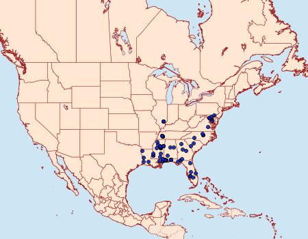 Distribution Data for Mea bipunctella