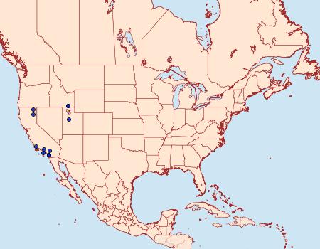 Distribution Data for Pelochrista curlewensis