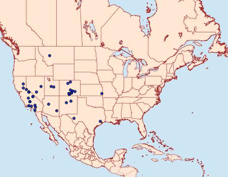 Distribution Data for Eucopina bobana