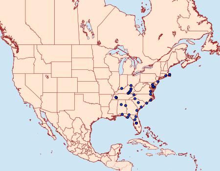 Distribution Data for Eucopina cocana