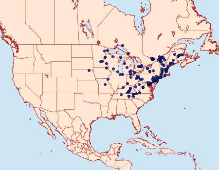 Distribution Data for Eucopina tocullionana