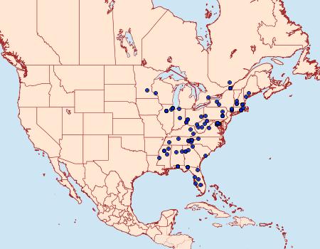 Distribution Data for Scardiella approximatella