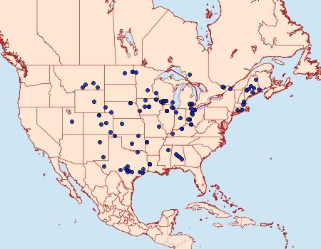 Distribution Data for Pelochrista matutina