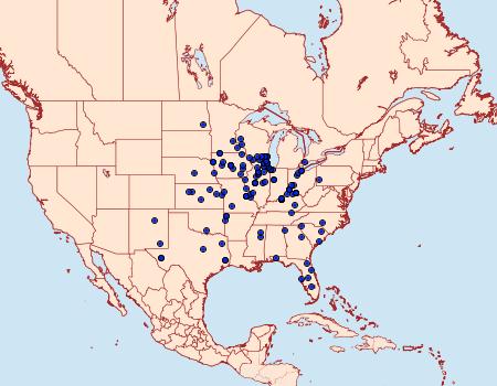 Distribution Data for Eucosma giganteana