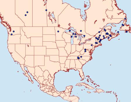 Distribution Data for Korscheltellus gracilis