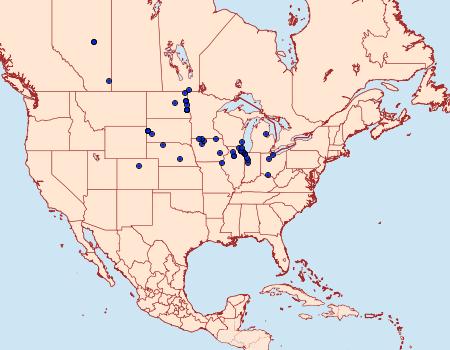 Distribution Data for Eucosma bilineana