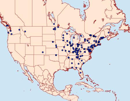 Distribution Data for Pelochrista derelicta