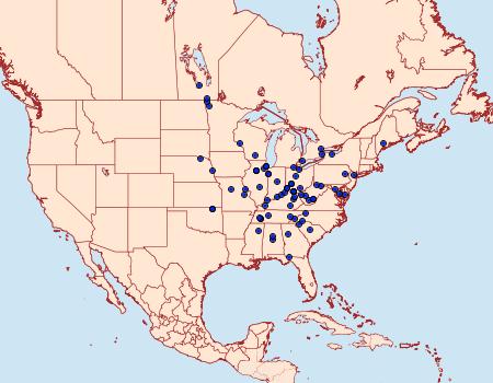 Distribution Data for Eucosma sombreana