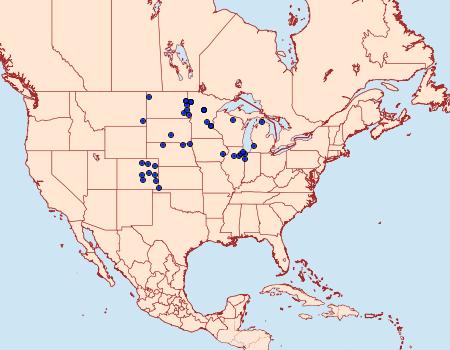 Distribution Data for Pelochrista costastriata