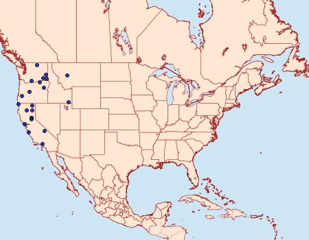 Distribution Data for Pelochrista biquadrana